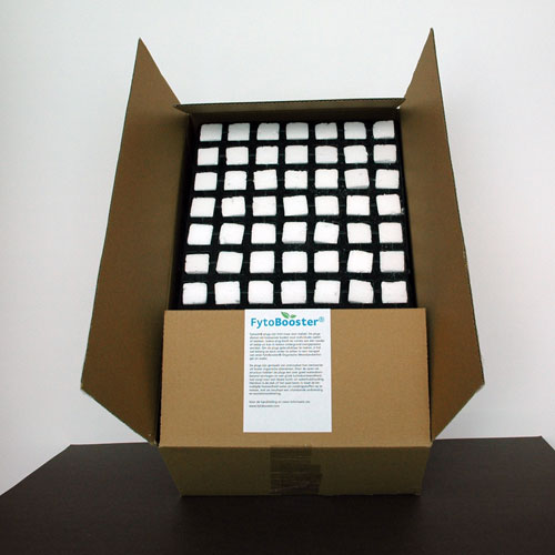 Productfoto Fytocell Plugs