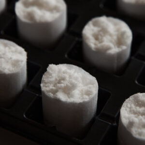 Fytocell Substraat: Plugs